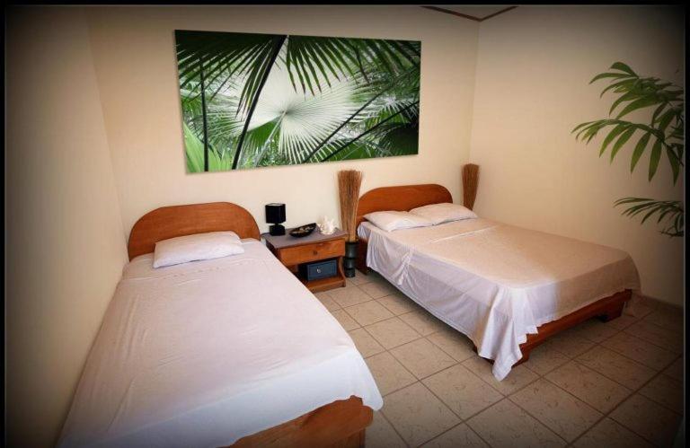 Hotel Blue Palm Jacó Eksteriør billede