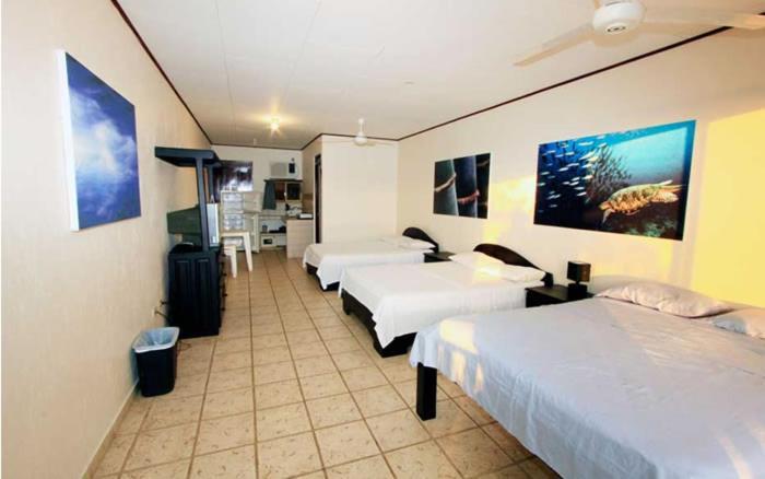 Hotel Blue Palm Jacó Eksteriør billede